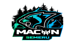MAC